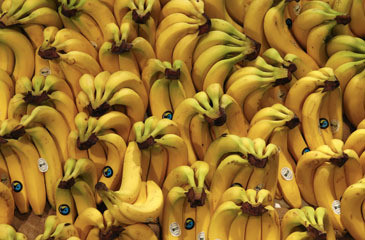 bananas-508e.jpg bananas-508e.jpg