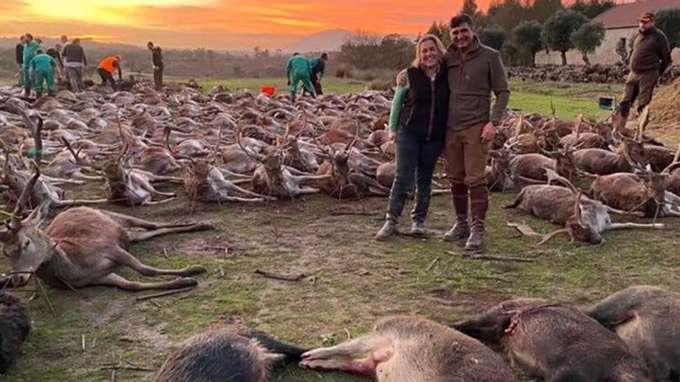 4fed54d8-8c88-42e1-9cd6-64ab84b9a08a.jpg 4fed54d8-8c88-42e1-9cd6-64ab84b9a08a.jpg