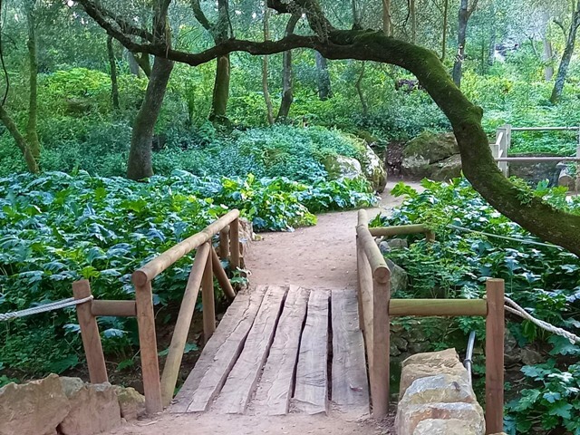 337168346_230023342919905_5662305383630312672_n.jp