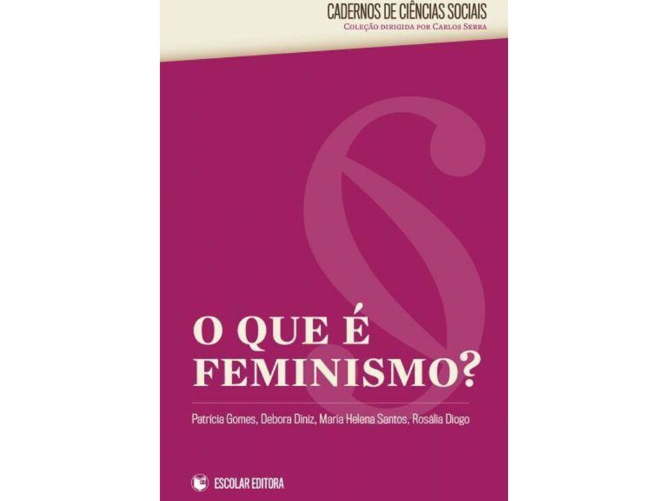 o que é o feminismo livro