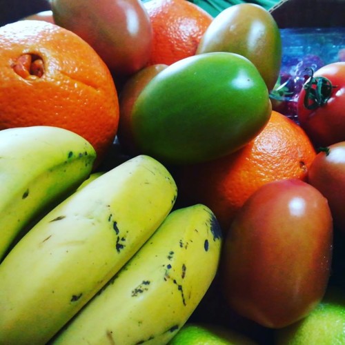 53264667_1316255861847505_7455504094128504832_n.jp