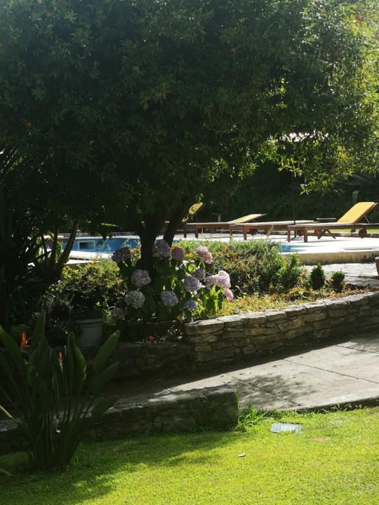 IMG_20200707_171030.jpg IMG_20200707_171030.jpg