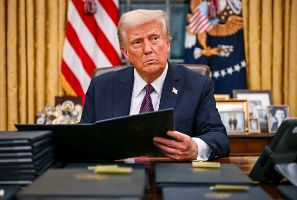 trump 3.webp