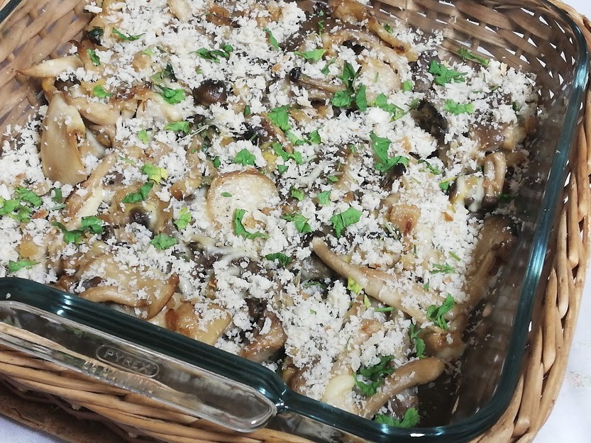 IMG_20210226_200823.jpg IMG_20210226_200823.jpg