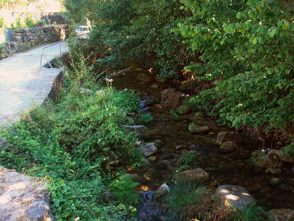 86 regato trancoso.JPG