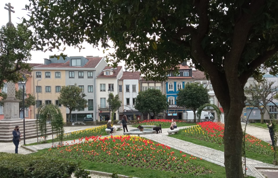 IMG_20210223_120447.jpg IMG_20210223_120447.jpg