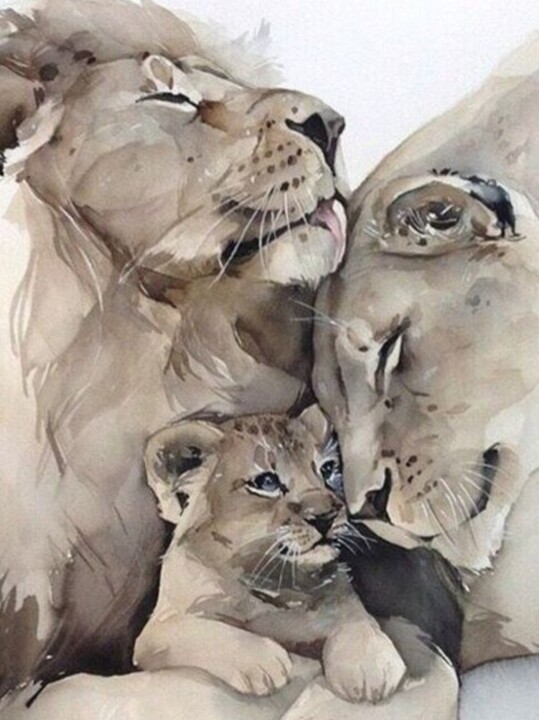 Screenshot_2023-12-30-16-32-06-736-edit_com.google