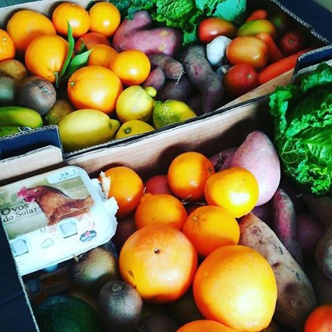 49898676_2221454304791996_2806994198631284736_n.jp