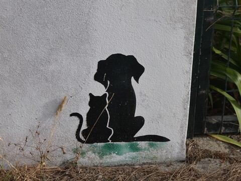 16b_Caminhada_Carromeu_e_Mira (47).JPG