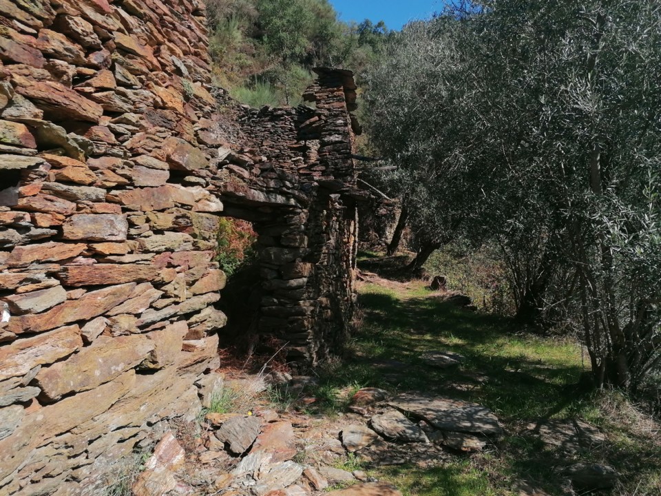 IMG_20201010_125831.jpg IMG_20201010_125831.jpg