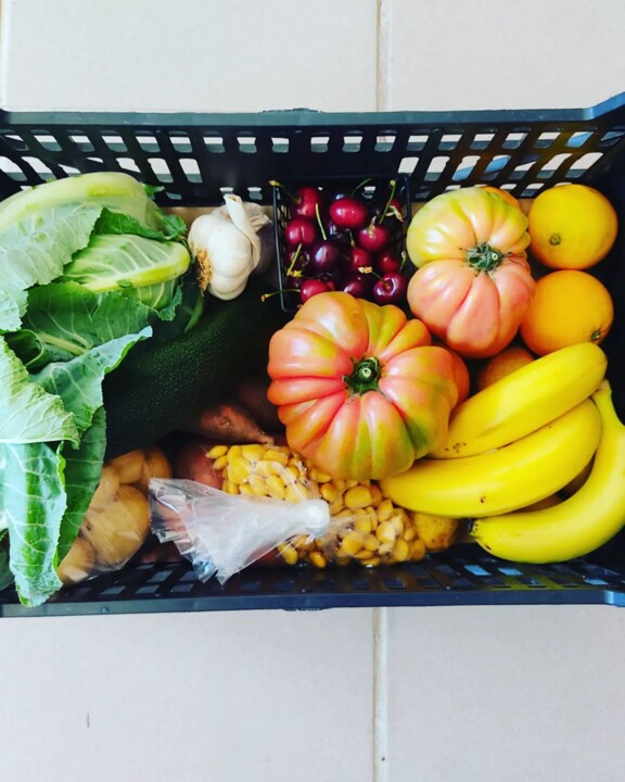 346300659_975536066968252_7265294952936407654_n.jp