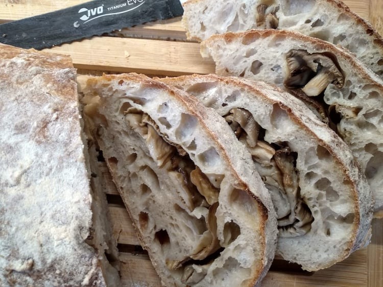 241874140_1047078989380691_9156351028839521953_n.j