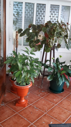 Valongo vandalismo Casa do Povo (8).jpg