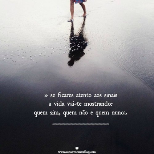 sinais.jpg sinais.jpg