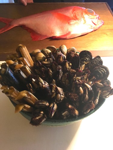 IMG_8548.JPG IMG_8548.JPG