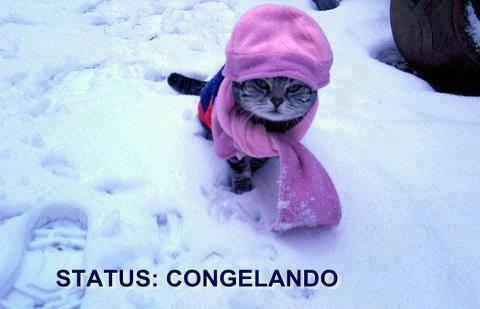 status-congelando.jpg