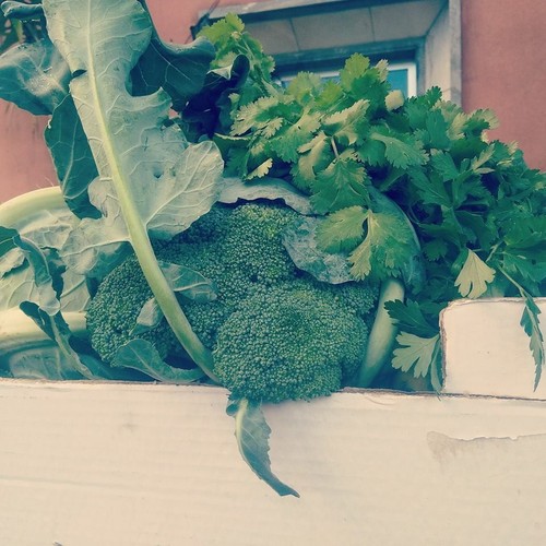 13174157_703915283081569_6432926524319845742_n.jpg 13174157_703915283081569_6432926524319845742_n.jpg