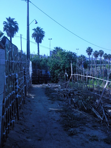 Foto de D.A.P.L. Junho 2015.jpg