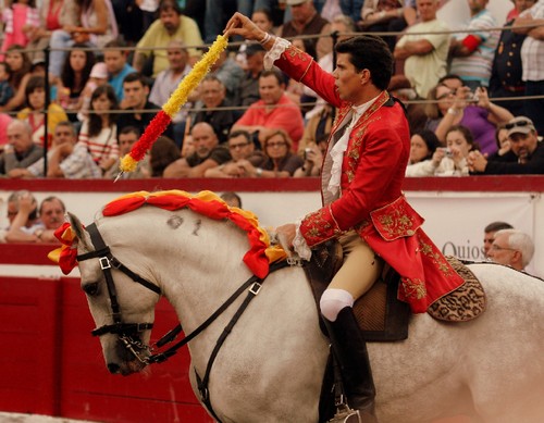 Tiago Pamplona, concentrado para brilhar...