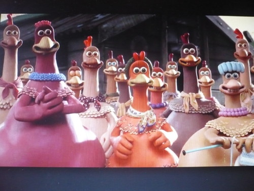 Expectativas dos galináceos