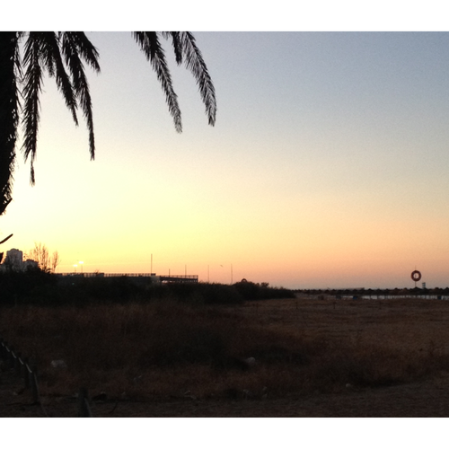 BEA I PHONE 2 355.PNG