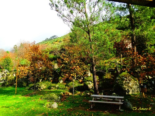 Fotos de Outono !!! 062.jpg