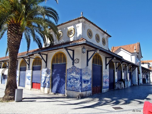 mercado_de_santarem.jpg