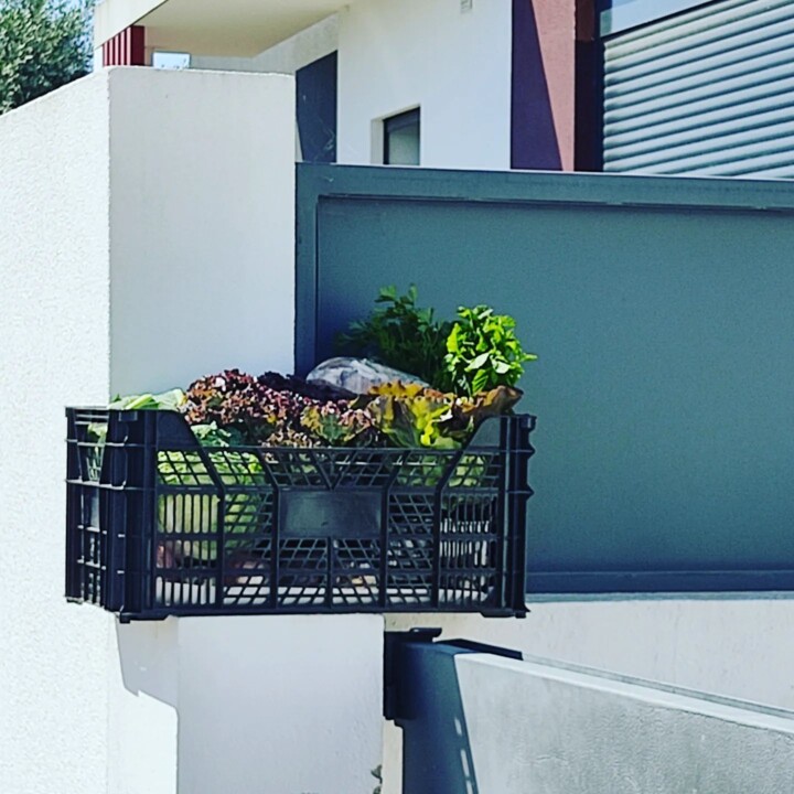 293031824_2359423377530743_6671470168484603696_n.j