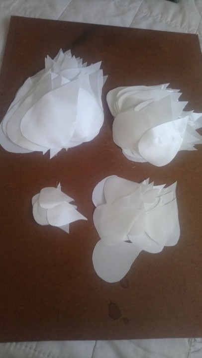 78624901_1732351670233693_1220642367086788608_o.jp