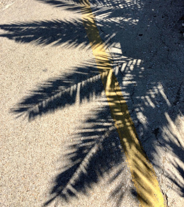 Porque hoje dizia que .jpg