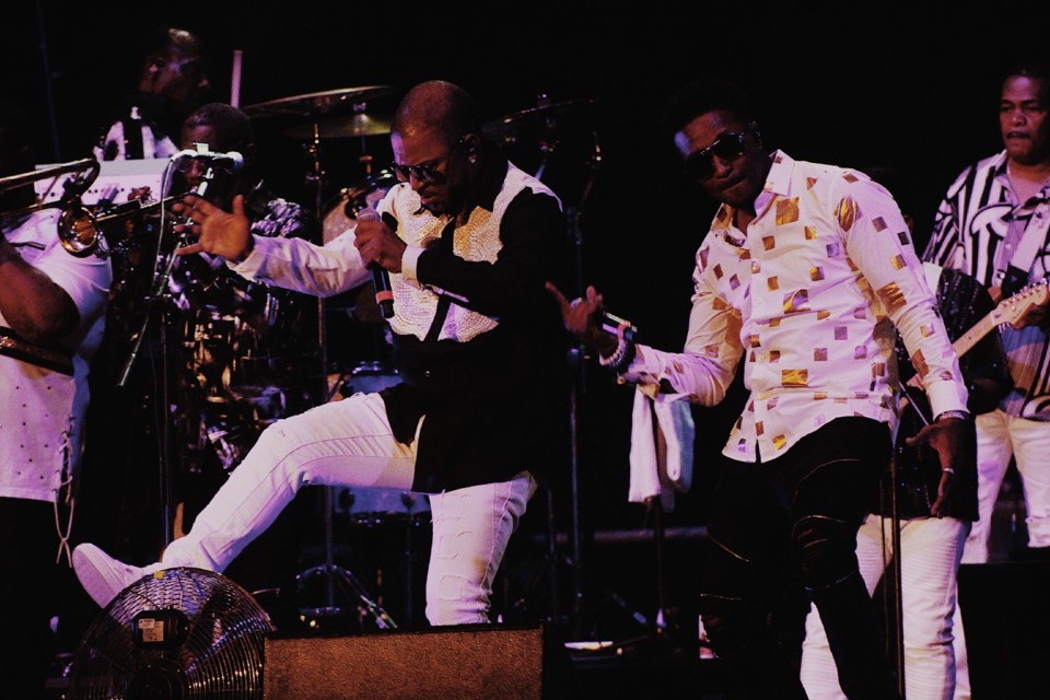 95298F71-8FE8-47CB-903F-C6EC89F00D84.jpeg 95298F71-8FE8-47CB-903F-C6EC89F00D84.jpeg