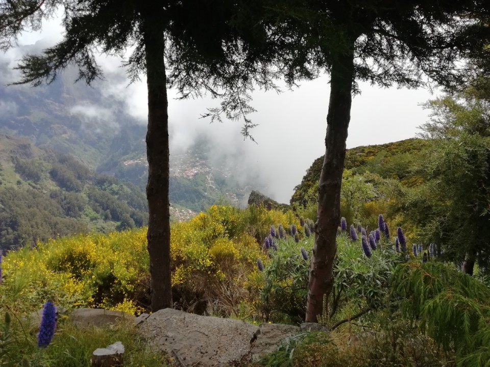 IMG_20210530_115156.jpg IMG_20210530_115156.jpg