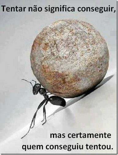 347b9d1309fbe38dc0f67b60edb9cbd7.jpg 347b9d1309fbe38dc0f67b60edb9cbd7.jpg