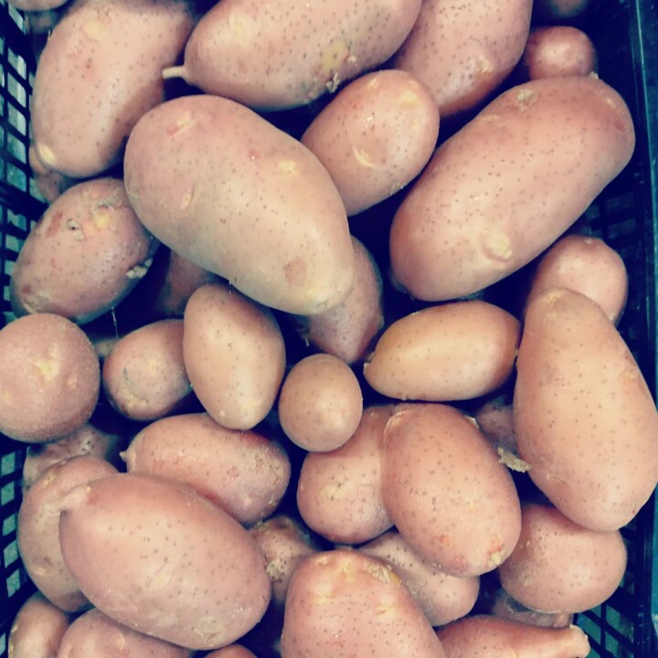 315943973_2470002663139480_6739074860143505060_n.j