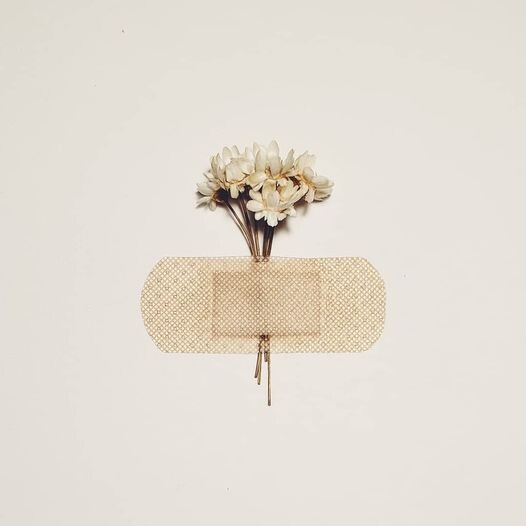 plantar flores onde existem feridas e deixar cicat