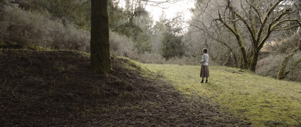 descarregar (12).jpg