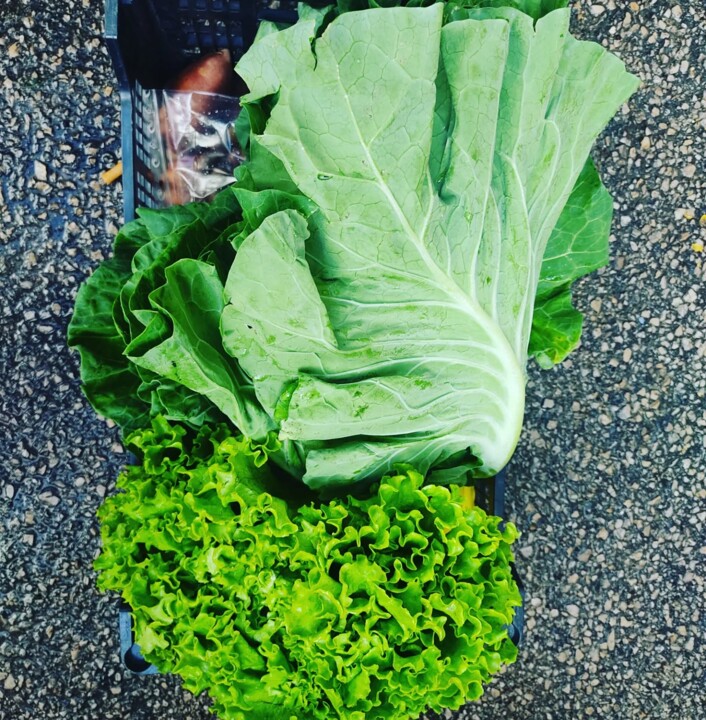 581828433_18512852959066958_3047204146475910391_n.