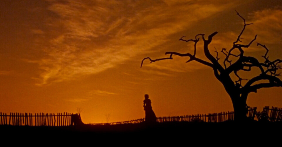 RSLocalFile-2DA62999-9914-40F3-ACEE-2ACD9C1BD161.w