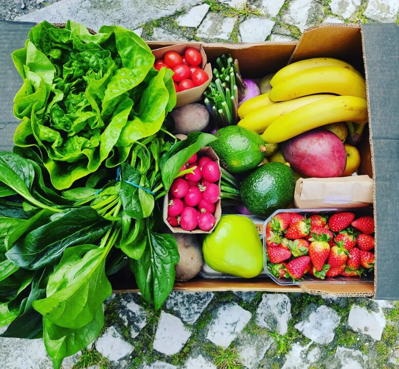 331000763_1654941584924713_8445788112949068939_n.j