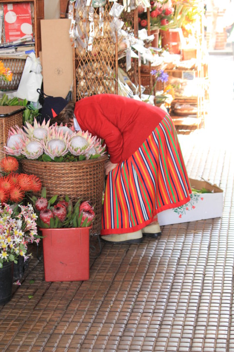 Madeira (268).JPG Madeira (268).JPG