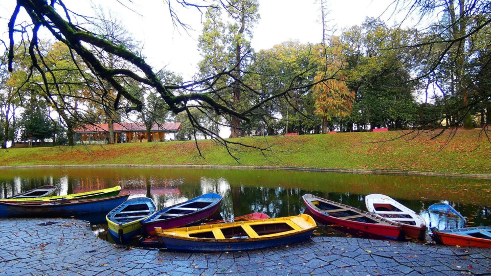 124420797_10218781107773882_219222428395607404_o.j