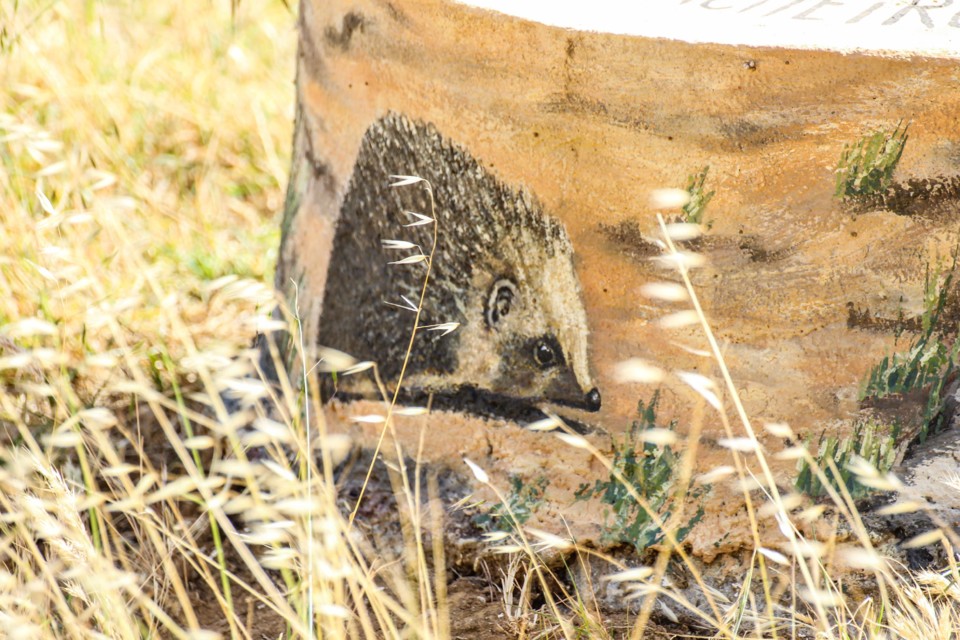 trilho das vinhas-57.jpg