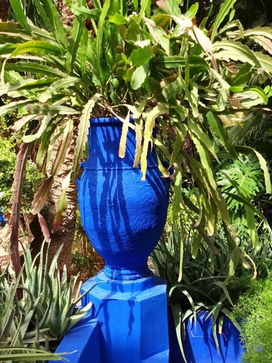 Não me canso disto_Jardim_e.jpg