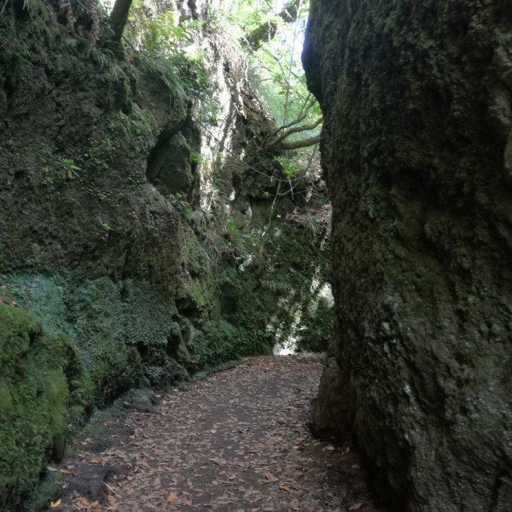 IMG_20190630_115754.jpg IMG_20190630_115754.jpg