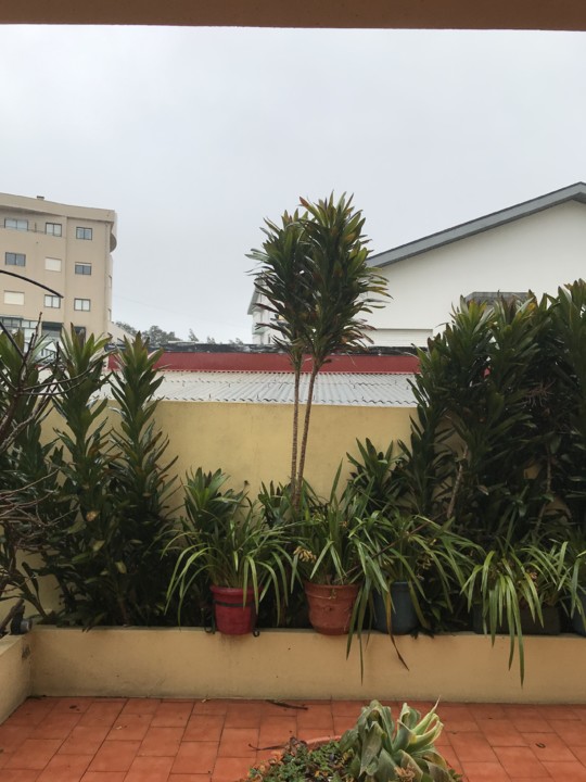 ponti de vista2.jpg ponti de vista2.jpg