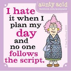 O guião da tia ácidatia ácida.jpg