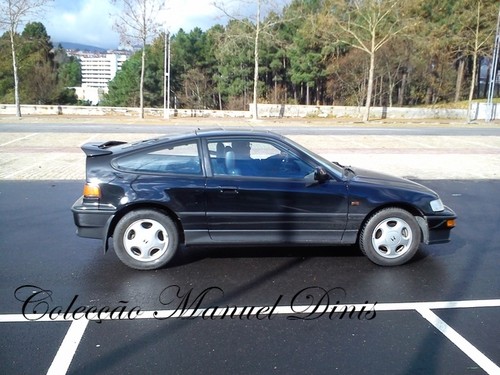 alem corgo Fevereiro 2016  (70).jpg