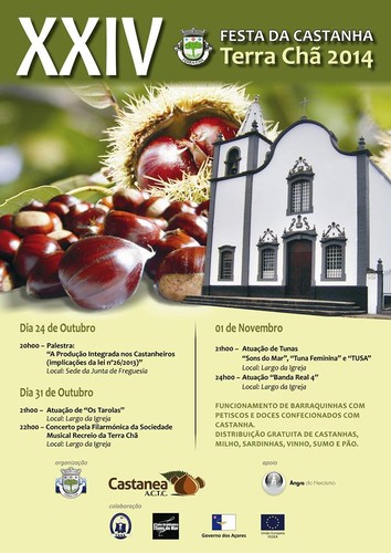 Cartaz Festa da Castanha.jpg