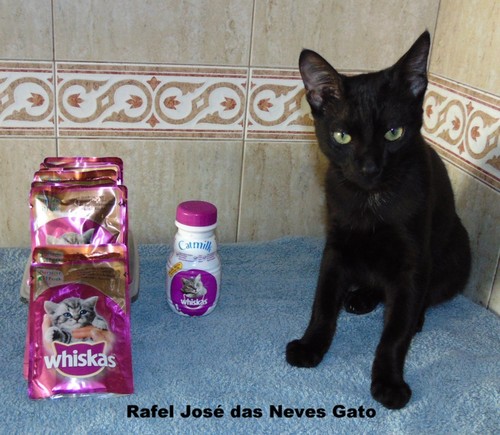 paparocaRafael.JPG paparocaRafael.JPG