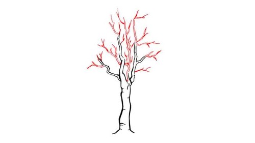 670px-Draw-a-Detailed-Tree-Step-4-preview.jpg